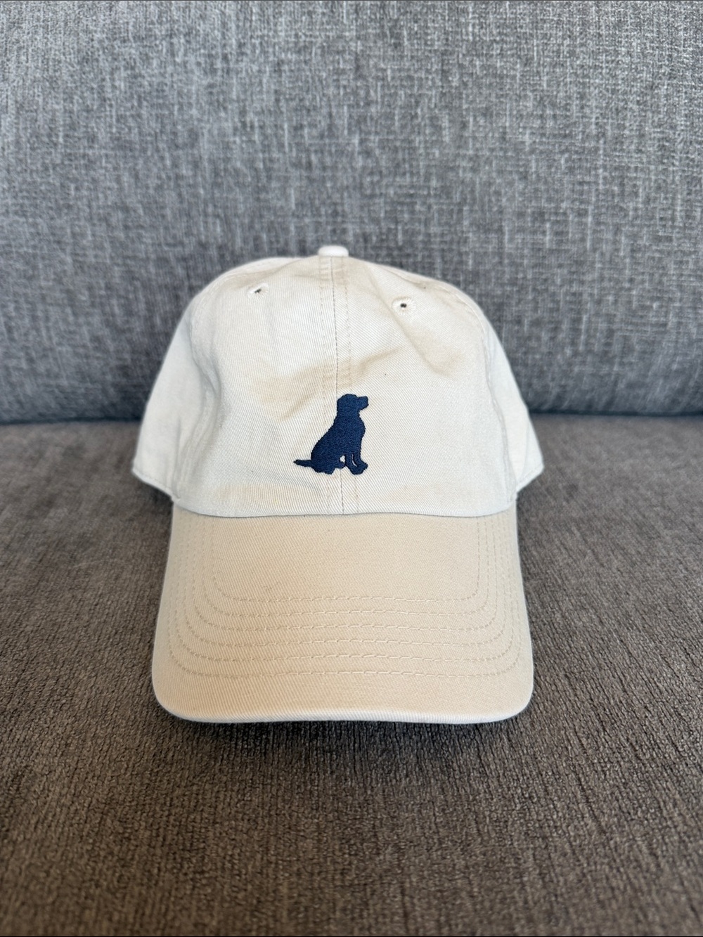 Life is Good Dog Hat